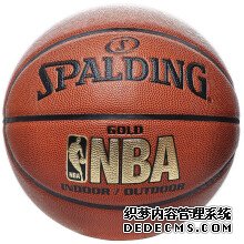 史蒂夫·弗朗西斯：Reebok黄金时代的篮球传奇