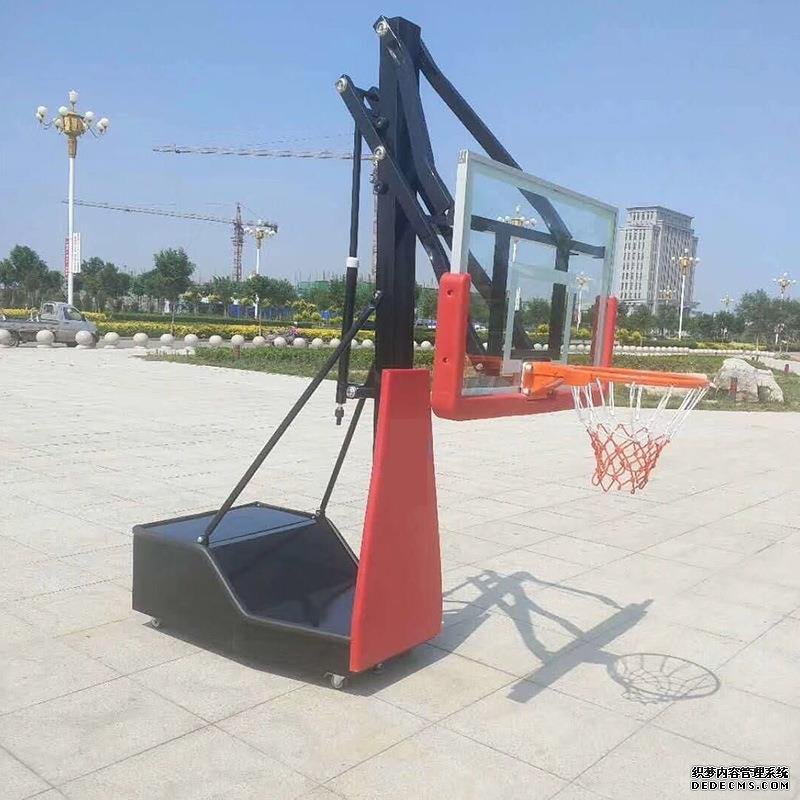 教育部门的述职报告(精品17篇)