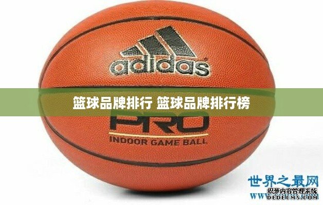 李宁加码中国球员NBA梦想2025年中国品牌新篇章开启